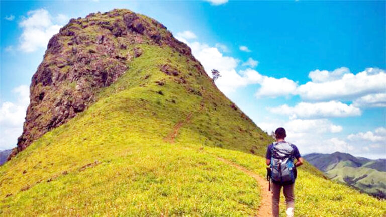 ಎತ್ತಿನಭುಜ ತಾಣ