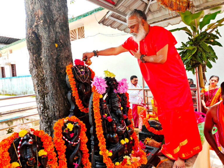 ಶ್ರೀ ರಂಭಾಪುರಿ ಪೀಠದಲ್ಲಿ ನಾಗರ ಪಂಚಮಿಯಂದು ನಾಗರಕಟ್ಟೆಗೆ ಹಾಲೆರೆದು