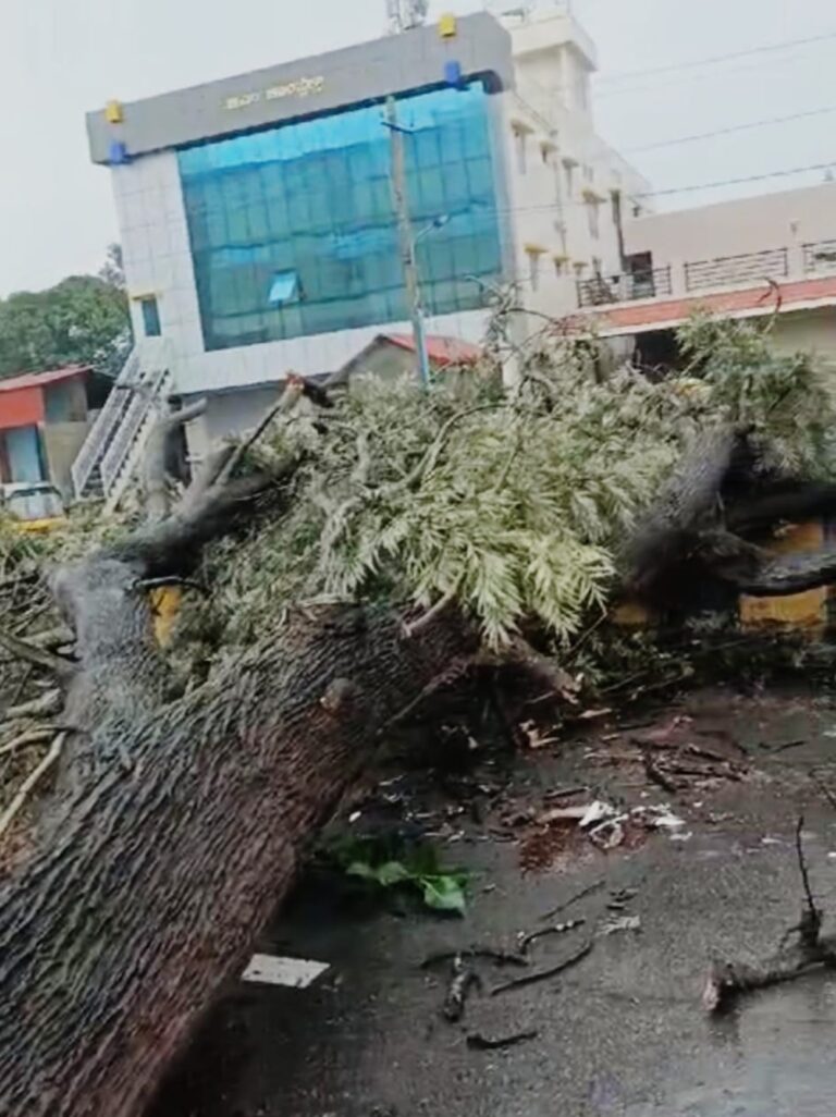 ಭಾರಿ ಮಳೆಗೆ ಧರೆಗುರುಳುತ್ತಿರುವ ಮರಗಳು