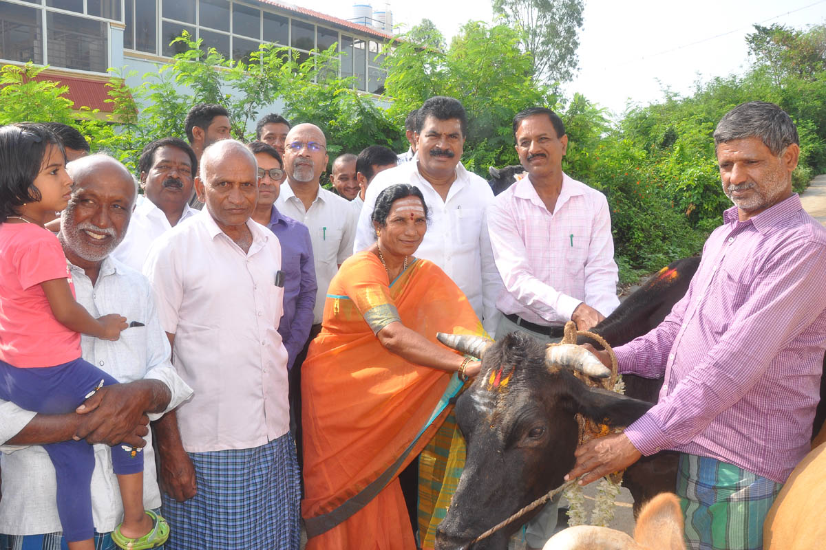ಹೈನುಗಾರಿಕೆ ಉಳಿವಿಗೆ ಜಾನುವಾರು ಸಂರಕ್ಷಣೆ ಅಗತ್ಯ