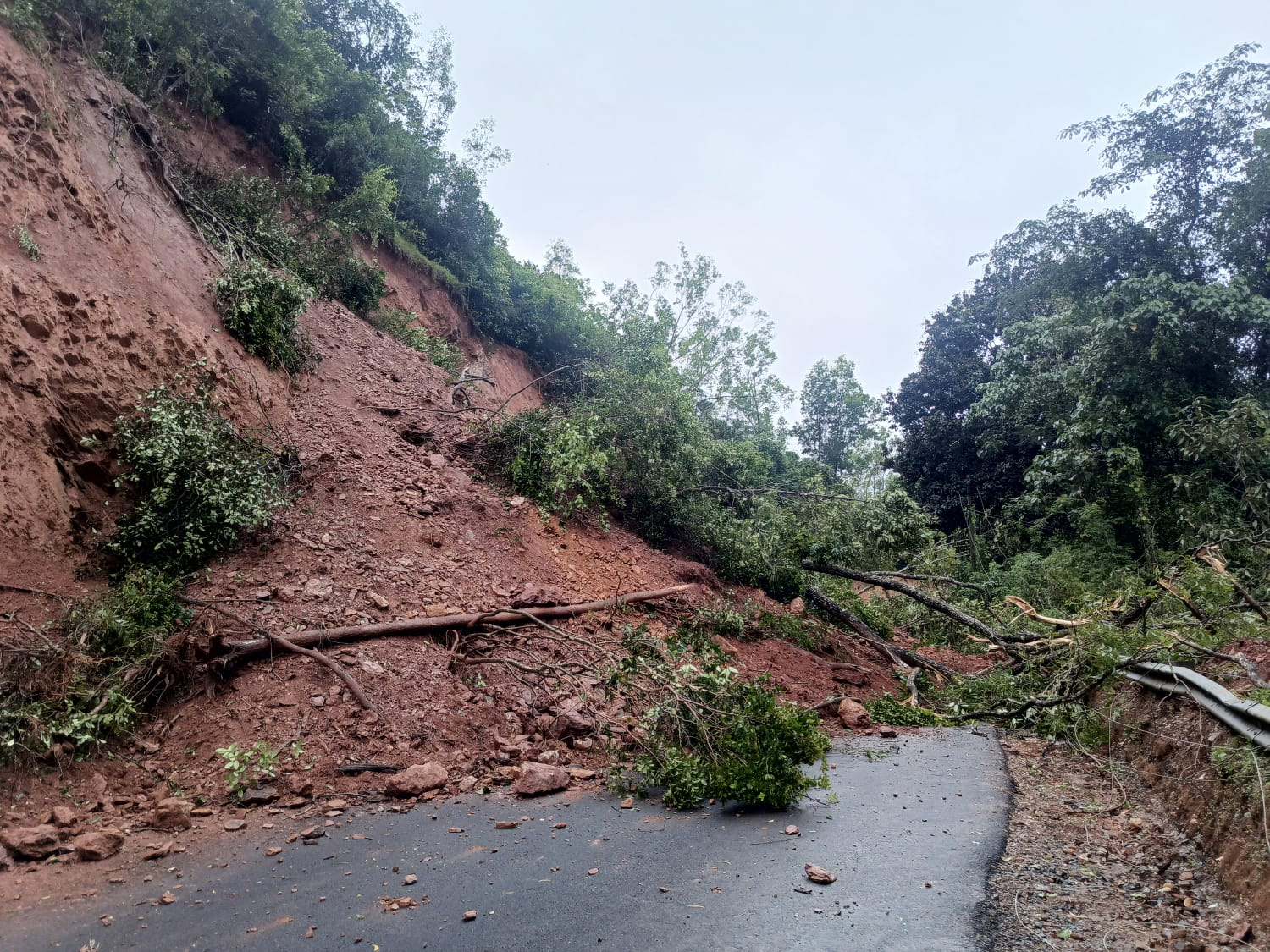 ಚಿಕ್ಕಮಗಳೂರು ಜಿಲ್ಲೆಯ ಮಲೆನಾಡು ಭಾಗದಲ್ಲಿ ಧಾರಾಕಾರ ಮಳೆ
